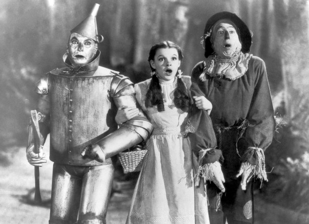 Lions, tigers, bears