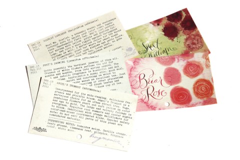 Ineke_ScentLibrary_7_web