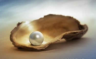 The world is your oyster still life