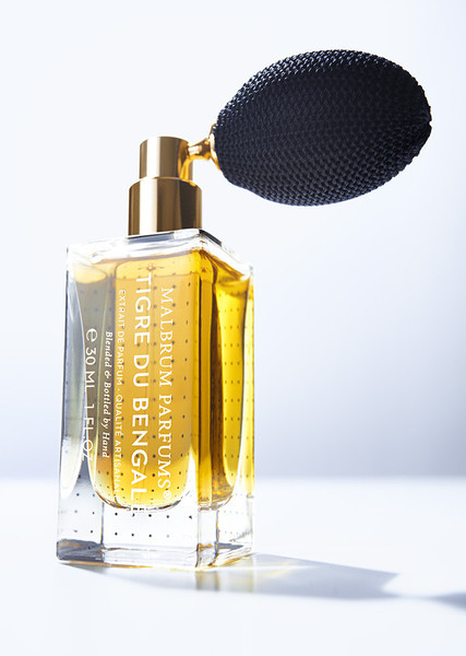 Malbrum Tigre du Bengale