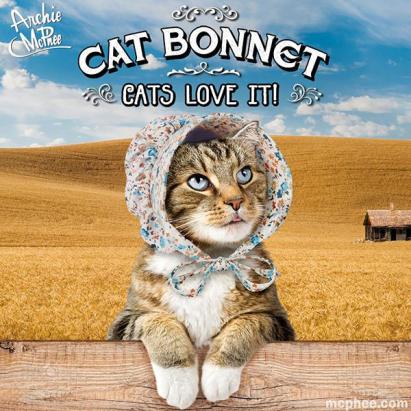 cat-bonnet-tabby_grande