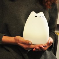 cat-night-light