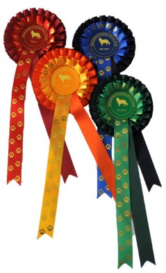 prizepage-image-image-2-dogphoto