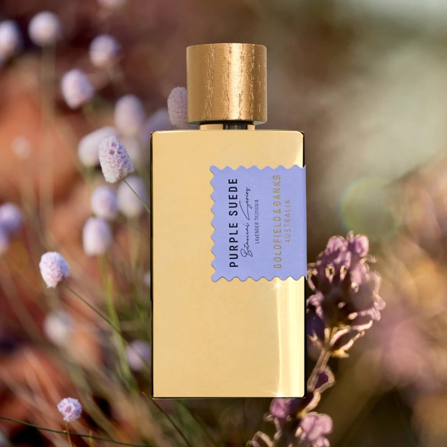 Goldfield & Banks Purple Suede | The Scented Hound